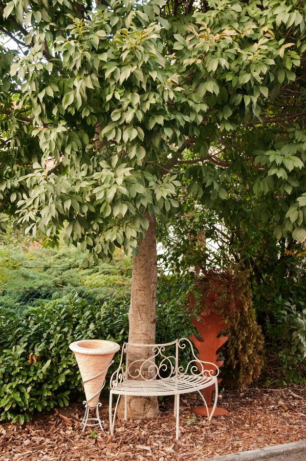 Anita Home Gyenesdias Ngoại thất bức ảnh